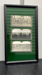 Antique Cows Stereo Views On Green Felt