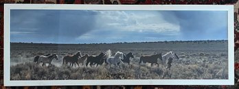 Framed Wild Horse Print