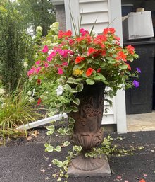 Lovely Potted Plant In Cast Iron Urn