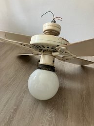 Ceiling Fan With Lights