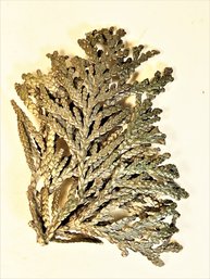 Large Sterling Silver Brooch Leaf Form - Signed IES Denmark