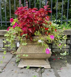 Lovely Potted Plant In Cast Iron Planter