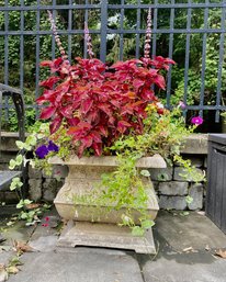 Lovely Potted Plant In Cast Iron Planter