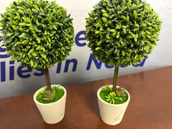 Artificial Boxwood Trees In Planters