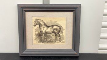 19th Century Engraving Norman Percheron Horse 12.5x10.5 Framed Glass