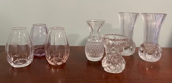 Glass Bud Vase Collection