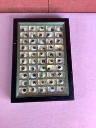 Case Of Prosthetics Glass Eyes