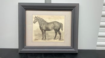 19th Century Engraving Norman Percheron Mare 12.5x10.5 Framed Glass