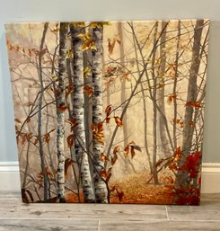 Large 3ft Birch Trees In The Fall Canvas Print
