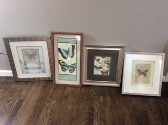 Framed Butterfly Prints Lot #7