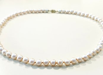 A Faux Pearl Necklace