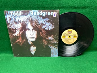 Todd Rundgren. Hermit Of Mink Hollow On 1978 Bearsville Records.