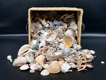 A Woven Basket Full Of Natural Seashells