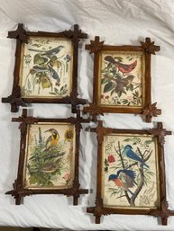 4 Vintage Arthur Singer Bird And Botanical Prints 12x13' Framed