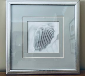 Shell Print In Silver Frame