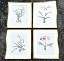 A Series Of 4 Vintage Botanical Prints