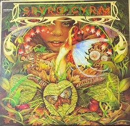 SPYRO GYRA - Morning Dance - LP - 1979 ( MCA-37148) VERY GOOD CONDITION - JAZZ