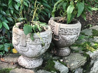 Pair Of Cement Planters (2 Of 2)