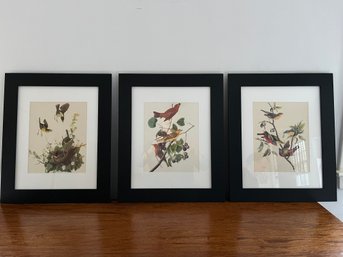 A Set Of 3 Colorful Vintage Bird Prints - 1 Of 2