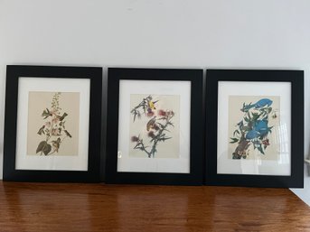 A Set Of 3 Colorful Vintage Bird Prints - 2 Of 2