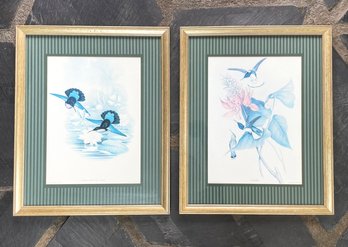A Pair Of Ornithological Prints
