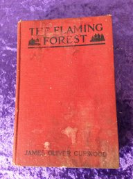 The Flaming Forest Book 8