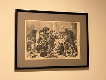 An Antique Print Hollingsworth Street, Islington Dog Shelter  - The Illustrated London News