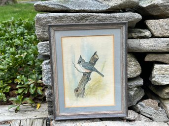 Vintage H Guymon Tufted Titmouse Bird Limited Edition Pencil Signed Framed Print