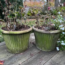 A Pair Of Terra Cotta Planters