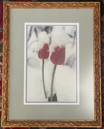 Framed Photograph By Jasper James