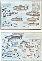 Pair Of Trout And Salmon Framed Posters