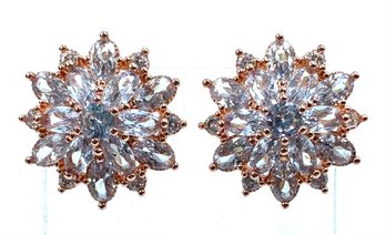Gorgeous White Sapphire Rhinestone Snowflake/floral Earrings