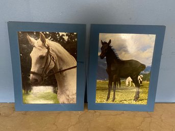 2 Piece Horse Photo Set