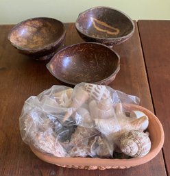 Three Coconut Bowls And Sea Shells
