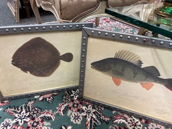 Pair Of Fish Prints From Sweden