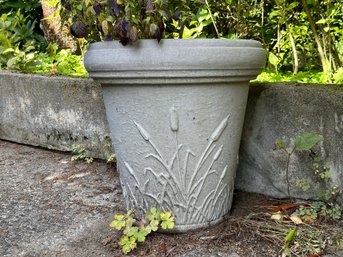 A Cement-Look Planter In Molded Plastic With A Cattail Motif & A Thriving Plant