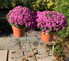 2 Small Metal Glass Top Tables W/planters