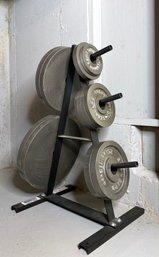 ParaBody - Serious Steel 2.5lb- 45lb Plates On Tree