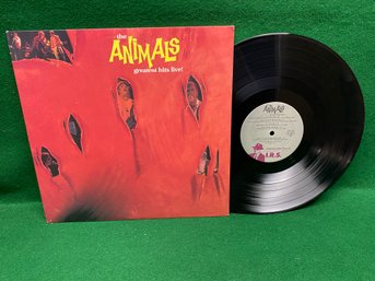 Animals. Greatest Hits Live! On 1984 IRS Records.