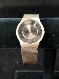 Amazingly Thin Skagen Titanium Watch