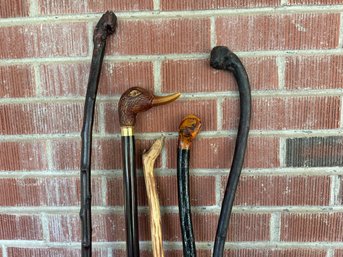 Collection Of Walking Sticks