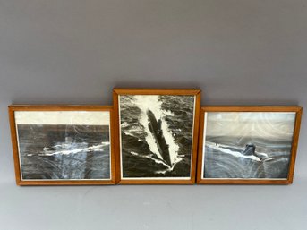 Group Of 3 Submarine Pictures