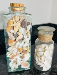 2 Bottles With Shells