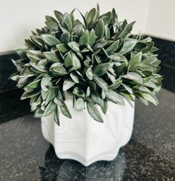 Faux Plant In White Planter