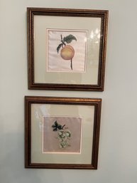 Two Framed Fruit On Silk Wall Art