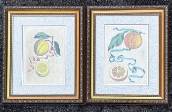 A Pair Of Antique Citrus Botanical Etchings