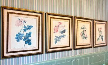 A Series Of 4 Vintage Botanical Lithographs