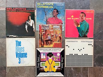 Collection Of Vinyl Records - Harry Belafonte And Others