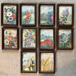 Ten Small Framed Vintage Floral Prints