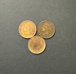 3 Indian Head Pennies 1901, 1902, 1903